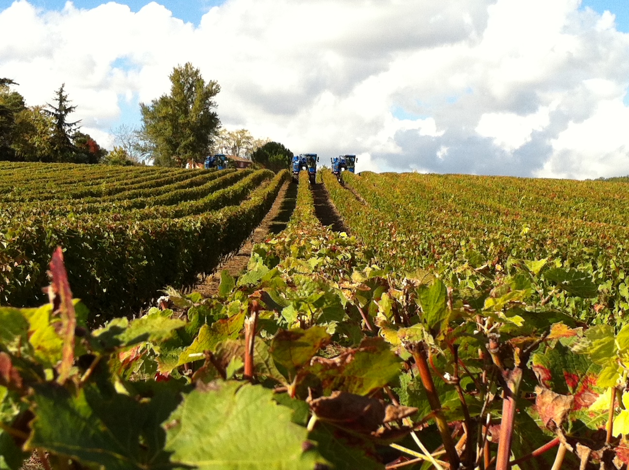 vignes et machines